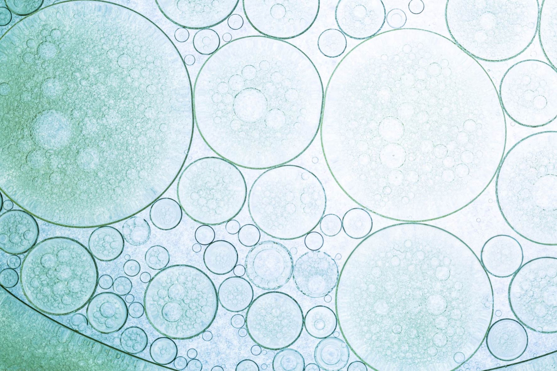 Industria Farmaceutica