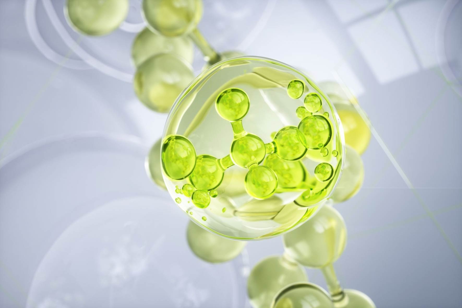 Stabilimento Agrisana Notaresco