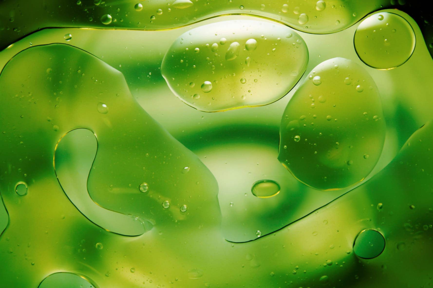 Processo estrazione CO2